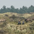 recreanten-tussen-koniks-Monique-van-Middelkoop