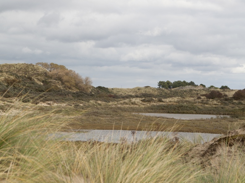 NPZK-Noordduinen-PH-03