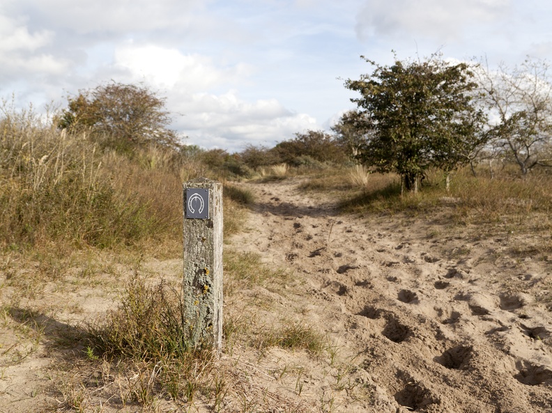 NPZK-Noordduinen-PH-08