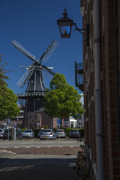 Haarlem-11.jpg
