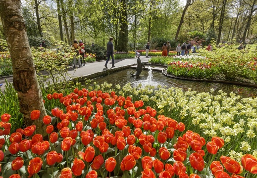 Keukenhof-Red-Tulips-and-Fountain-Laurens-Lindhout-Rechtenvrij