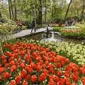 Keukenhof-Red-Tulips-and-Fountain-Laurens-Lindhout-Rechtenvrij.jpg