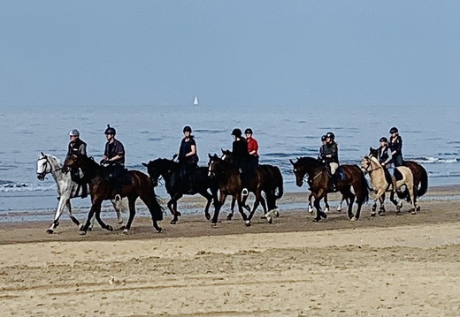 Paardrijden-op-strand-Kristel-Veerman