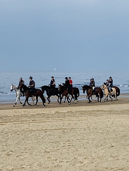 Paardrijden-op-strand-Kristel-Veerman.jpg