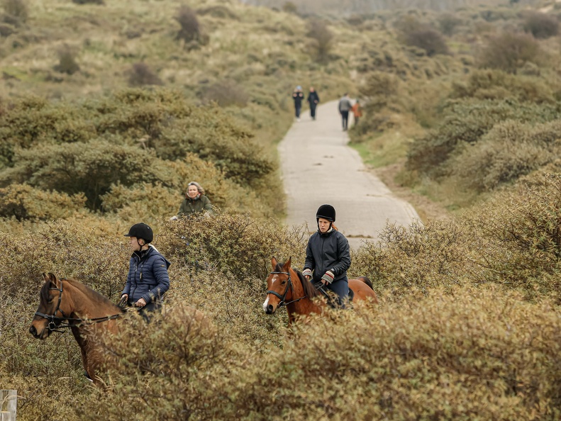 recreanten-met-paarden-Monique-van-Middelkoop