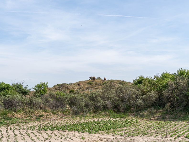 zandvoort-04956-2