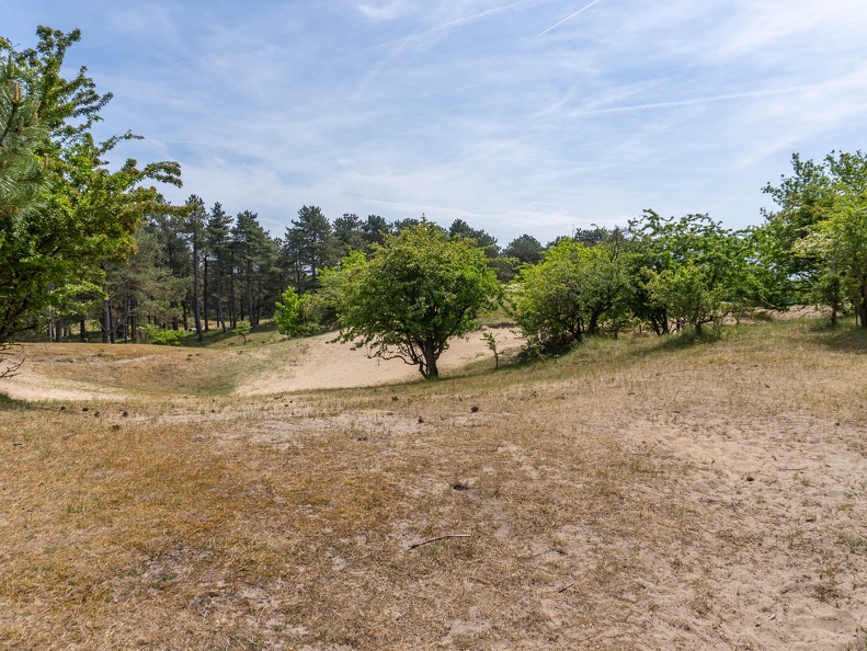 zandvoort-02761