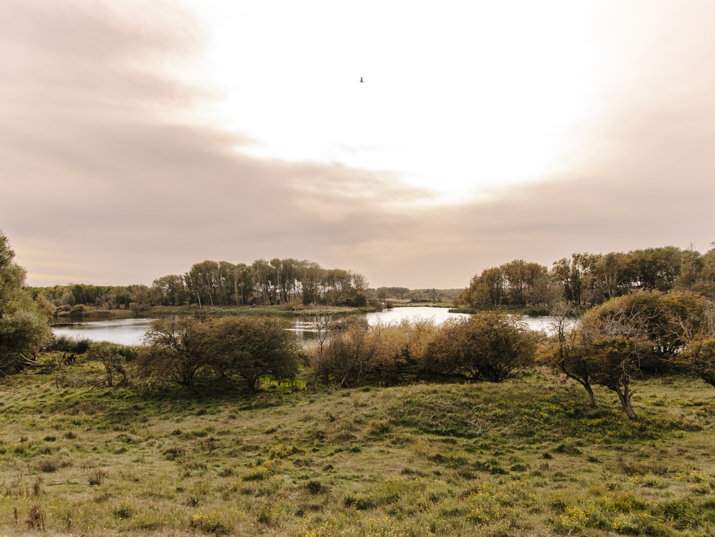 FZXAmsterdamse waterleiding duinen  8