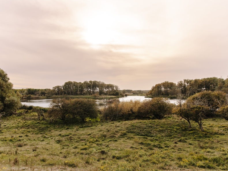 FZXAmsterdamse waterleiding duinen  7