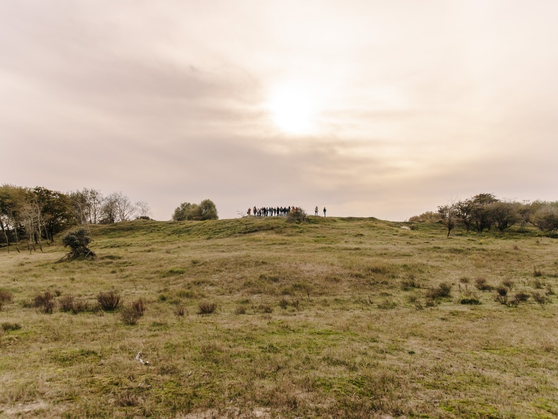 FZXAmsterdamse waterleiding duinen  6