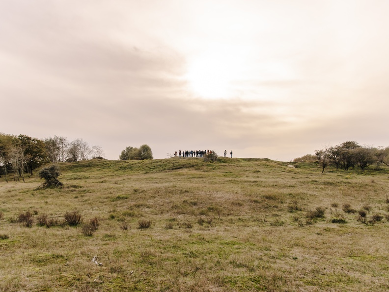 FZXAmsterdamse waterleiding duinen  5