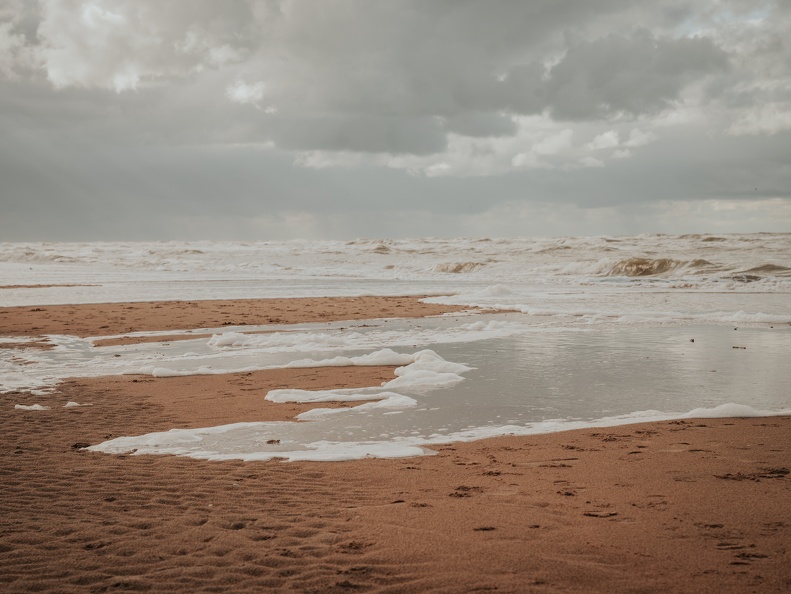 Amsterdam Waterleidingduinen Zandvoort image00204