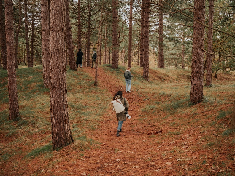 Amsterdam Waterleidingduinen Zandvoort image00218