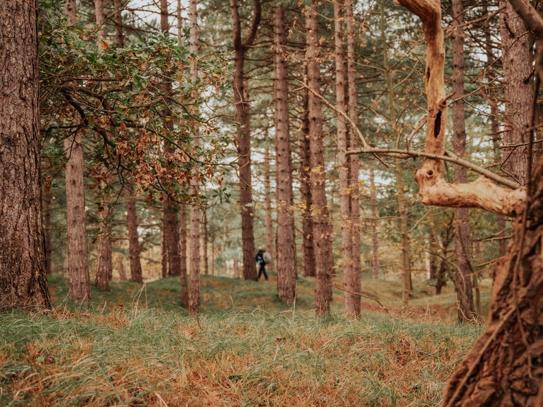 Amsterdam Waterleidingduinen Zandvoort image00219