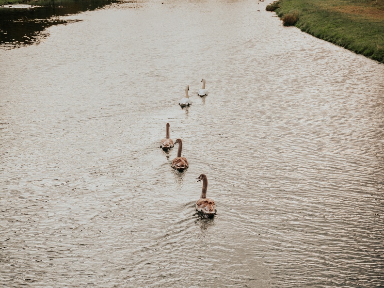 Amsterdam Waterleidingduinen Zandvoort image00230