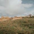 Amsterdam Waterleidingduinen Zandvoort image00242