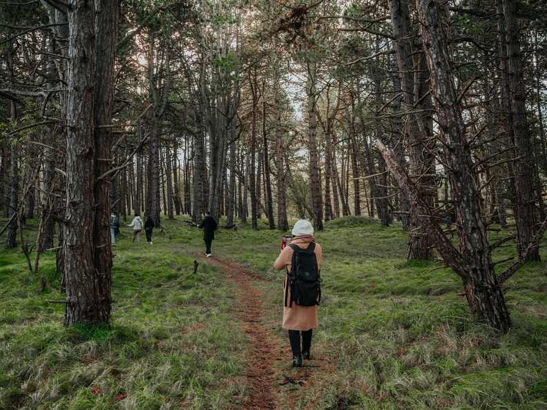 Amsterdam Waterleidingduinen Zandvoort image00248