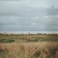 Amsterdam Waterleidingduinen Zandvoort image00253