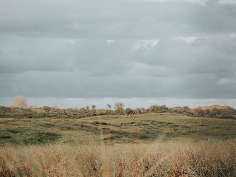 Amsterdam Waterleidingduinen Zandvoort image00253