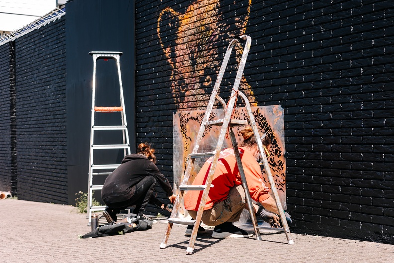 FZ X Art Zandvoort - Visit 24.jpg