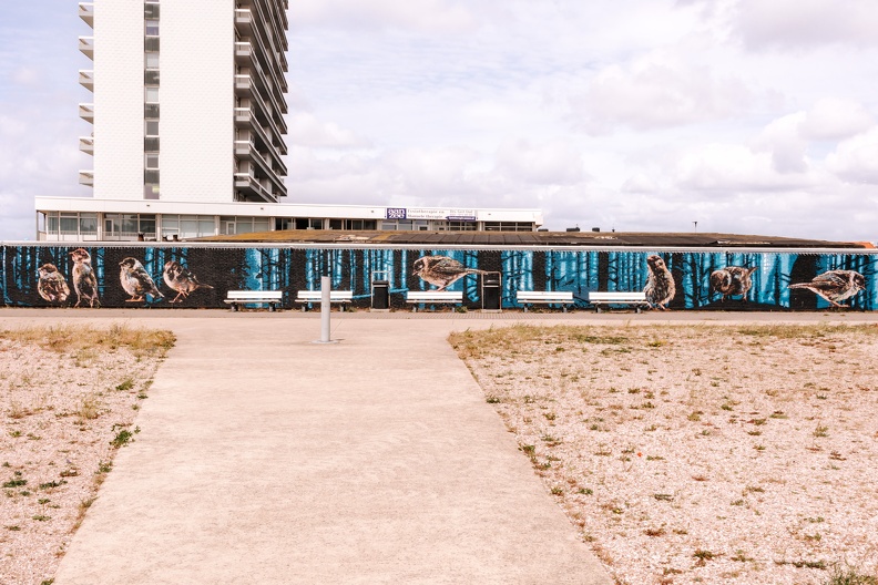 FZ X Street art visit 07.jpg