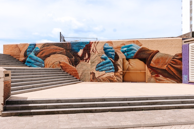 FZ X Street art visit 08.jpg