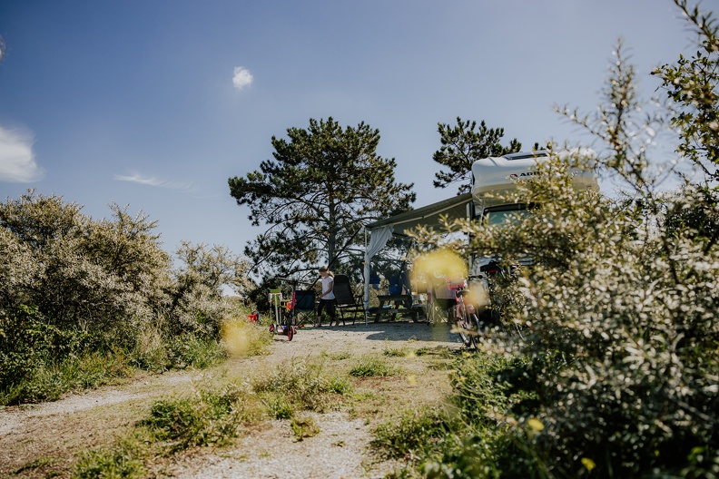 Liguster Dunespot 12.jpg