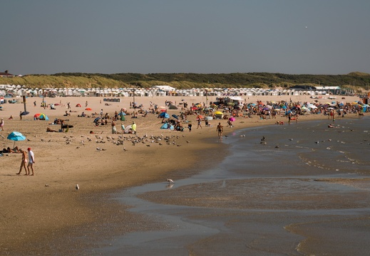 Strand Zuidpier(1)