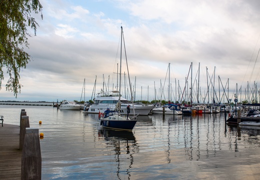 Volendam(1)