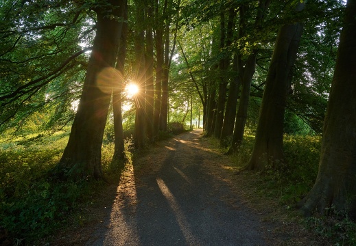 202306 Buitenplaats Leyduin Landschap 4 Laurence Harms.jpg compressed