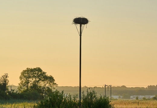 202306 Buitenplaats Leyduin Landschap 3 Laurence Harms.jpg compressed