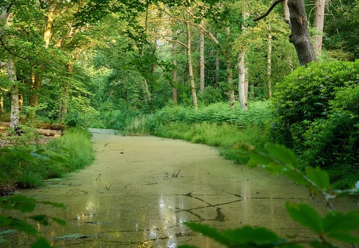 202306 Buitenplaats Leyduin Landschap 6 Laurence Harms.jpg compressed