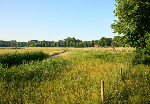 202306 Buitenplaats Leyduin Landschap 9 Laurence Harms.jpg compressed