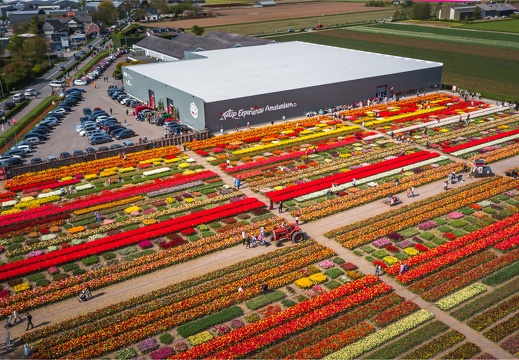 BdK Tulipexperience-2