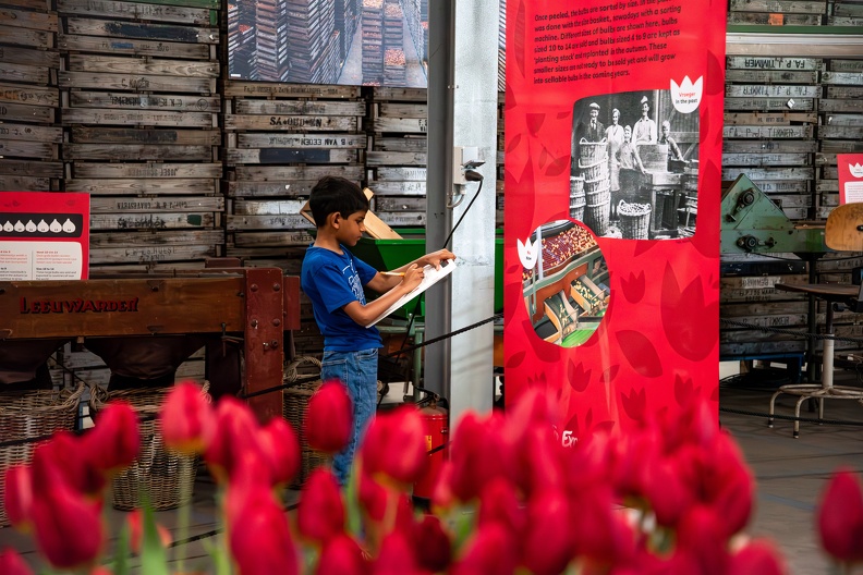 TEA SEIZOEN 2023_0124.jpeg