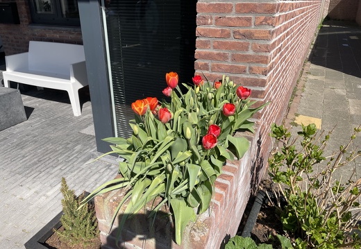 IMG 0032