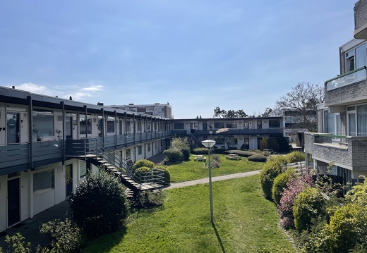 IMG 0550