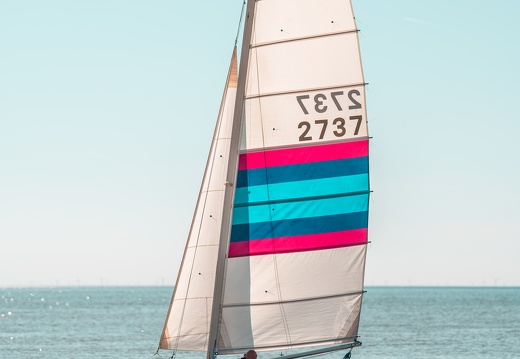  DSC7855