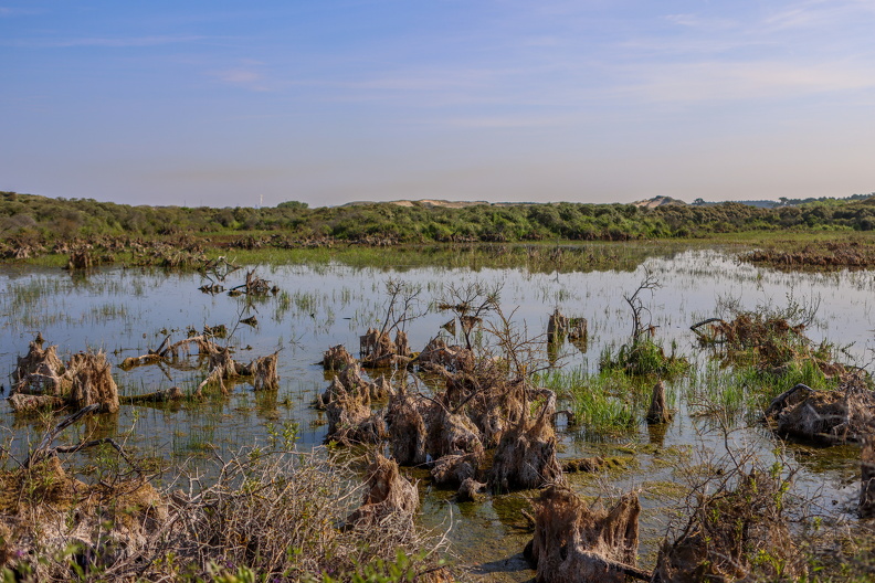 2I2A4050 - Monique van Middelkoop.jpg