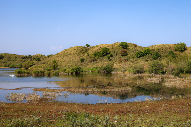 2I2A4053 - Monique van Middelkoop.jpg