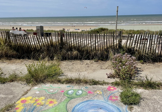 Madonnari Krijtfestival x Pride at the Beach stoepkrijt58