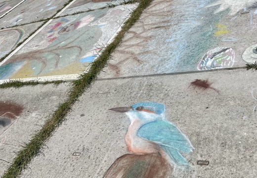 Madonnari Krijtfestival x Pride at the Beach stoepkrijt66