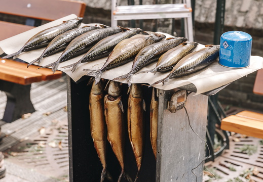 Makreel roken x FZ 1