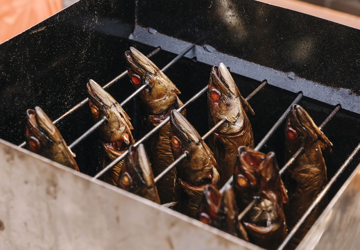 Makreel roken x FZ 2