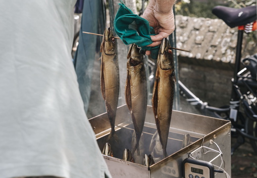 Makreel roken x FZ 4