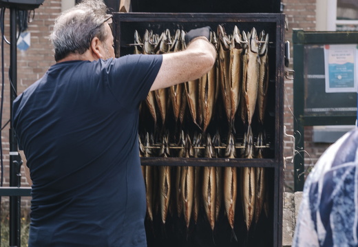 Makreel roken x FZ 9