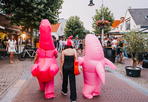 FZ X Visit - Dorpsfeest 090