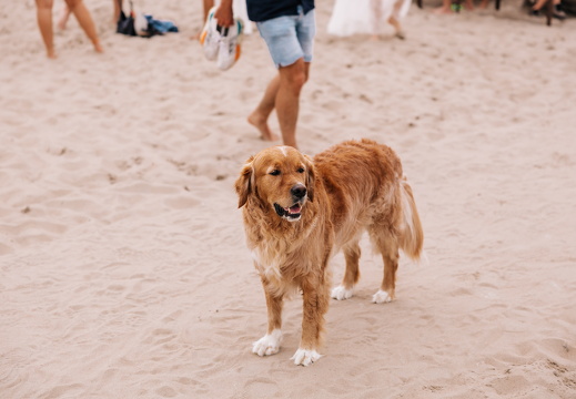 FZ X Visit - Babylon 005