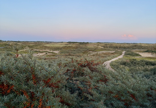 Amsterdamse waterleidingduinen ingang P de zuid83