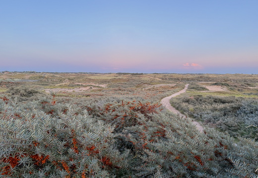 Amsterdamse waterleidingduinen ingang P de zuid88